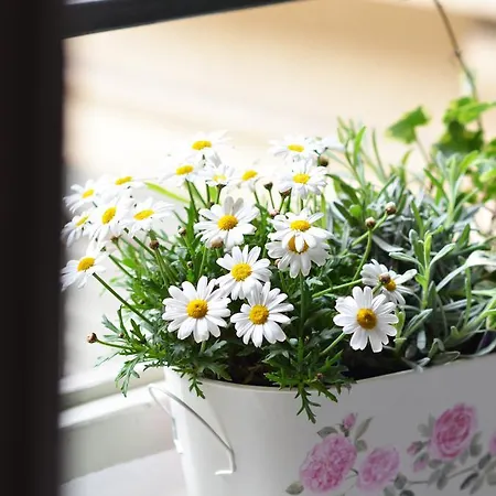 Гостьовий будинок La Torre House Бергамо