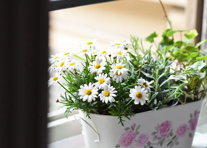 招待所 贝加莫拉托雷旅馆 贝尔加莫